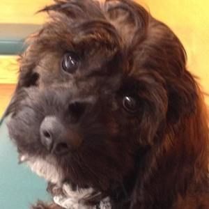 Meet your Posher, Sue